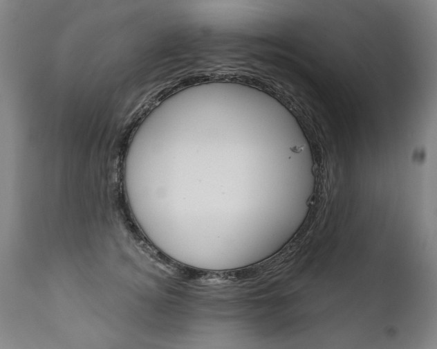 X0000110870756200906181009