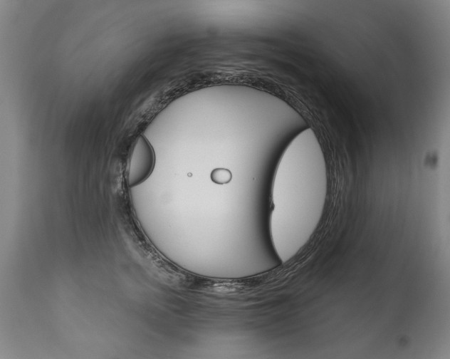 X0000110870758200906181009