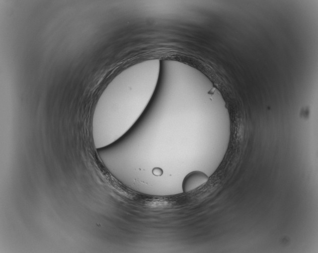 X0000110870759200906181009