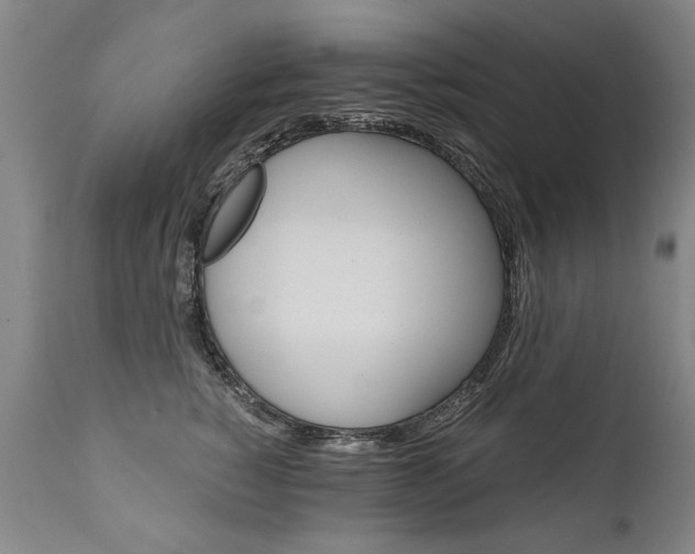 X0000110870760200906181009