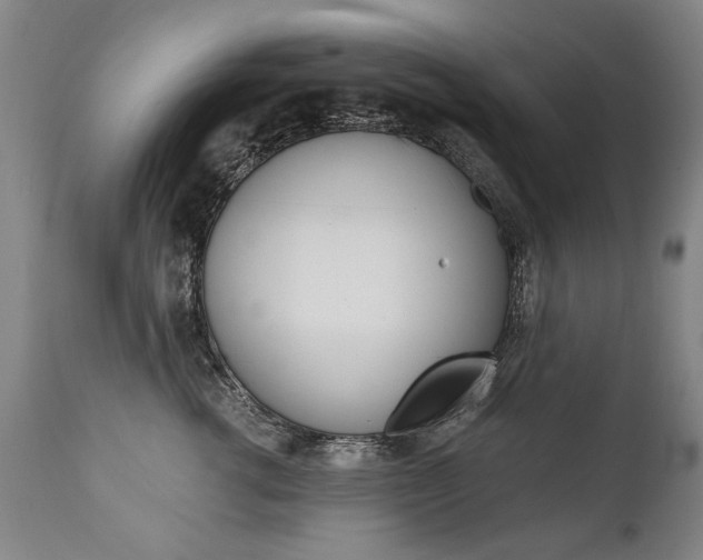 X0000110870762200906181009