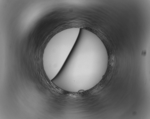 X0000110870763200906181009