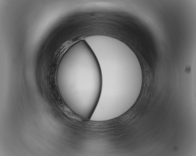 X0000110870766200906181009