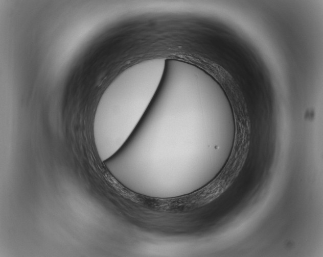 X0000110870767200906181009