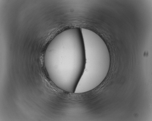 X0000110870768200906181009