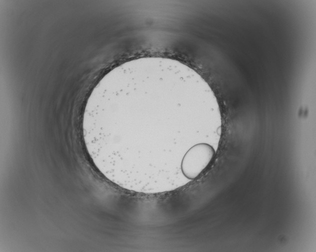 X0000110870769200906181009