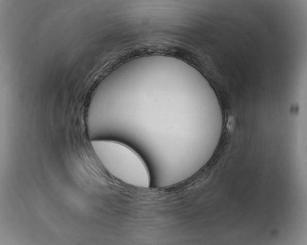 X0000110870771200906181009