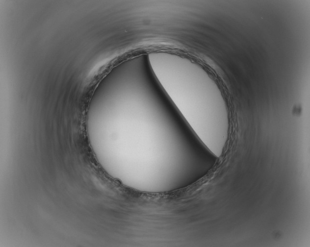 X0000110870775200906181008