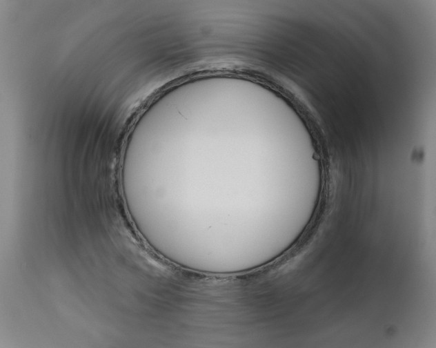 X0000110870778200906181008