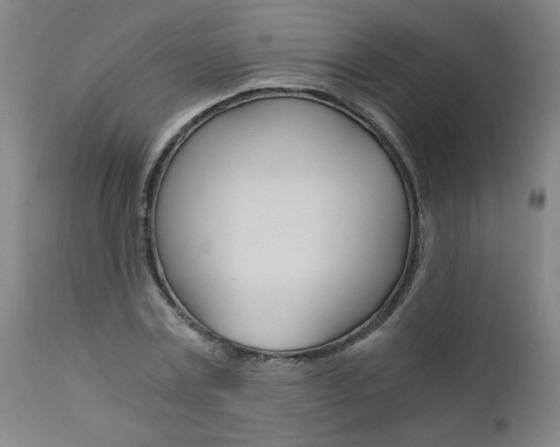 X0000110870779200906181008