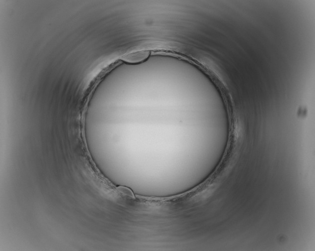 X0000110870781200906181008
