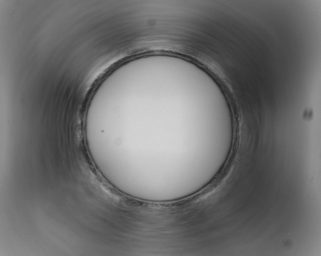 X0000110870782200906181008