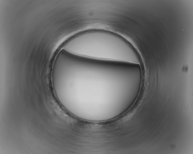X0000110870783200906181008