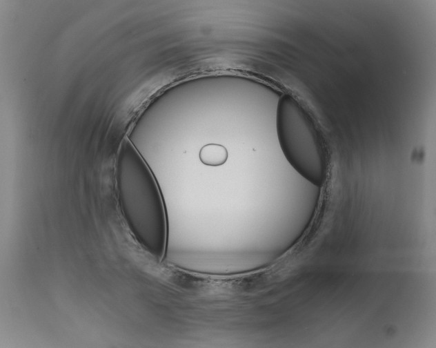 X0000110870785200906181008