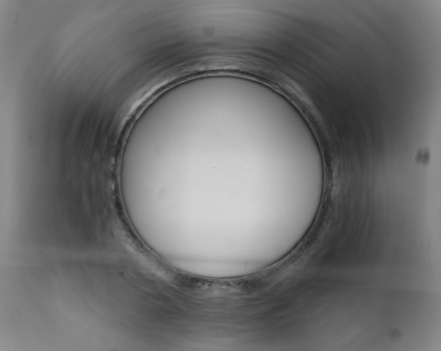 X0000110870786200906181008