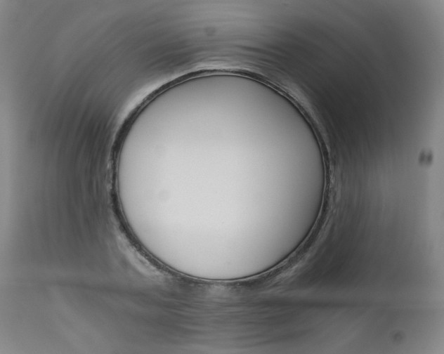 X0000110870787200906181008