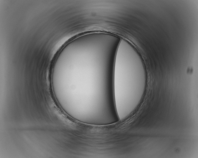 X0000110870788200906181008