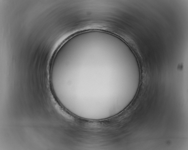 X0000110870792200906181008