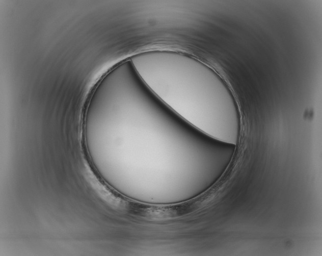 X0000110870795200906181008