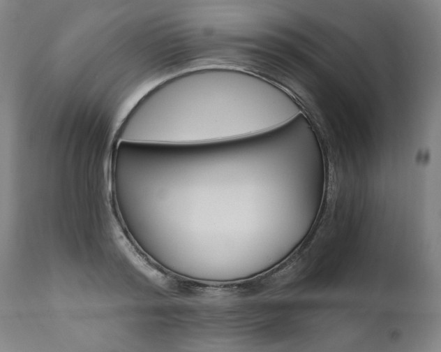 X0000110870796200906181008