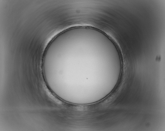 X0000110870797200906181008