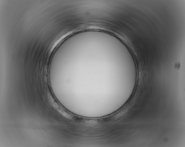 X0000110870798200906181008