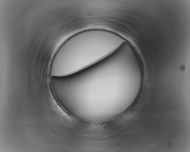 X0000110870799200906181008