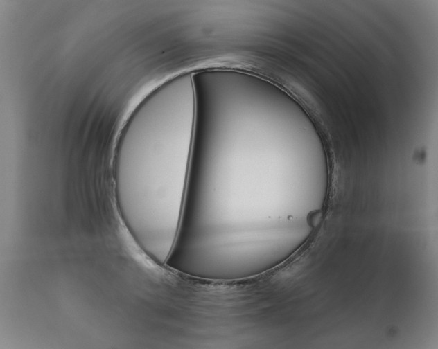 X0000110870800200906181008