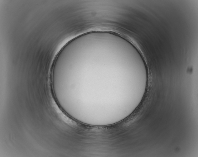 X0000110870803200906181008