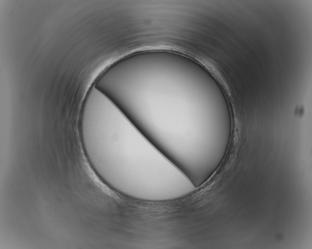 X0000110870805200906181008
