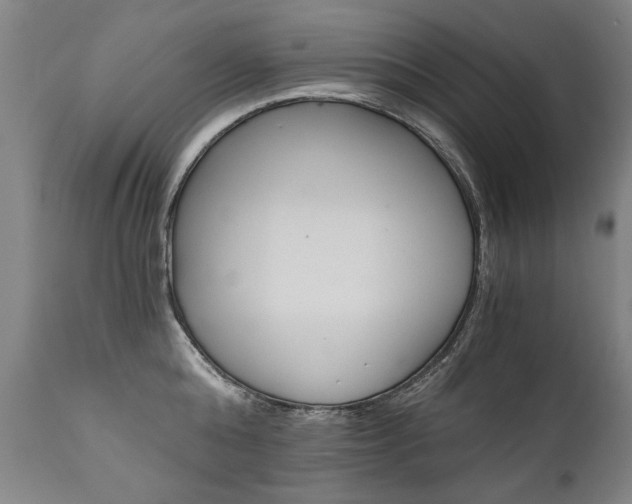 X0000110870808200906181008