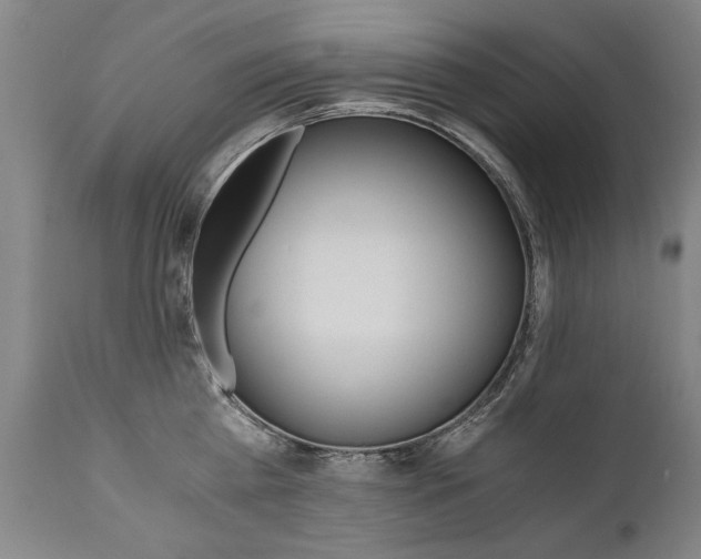 X0000110870809200906181008
