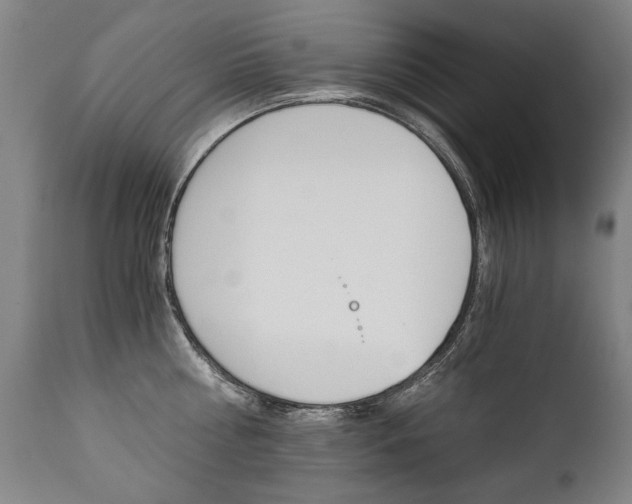 X0000110870810200906181008