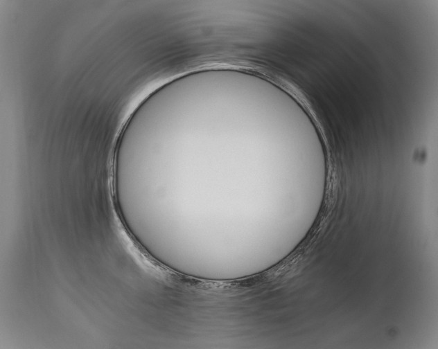 X0000110870811200906181008
