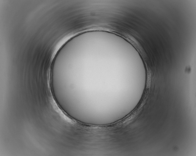 X0000110870812200906181008