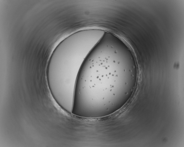 X0000110870813200906181008