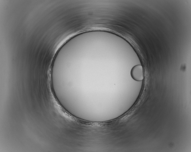 X0000110870814200906181008