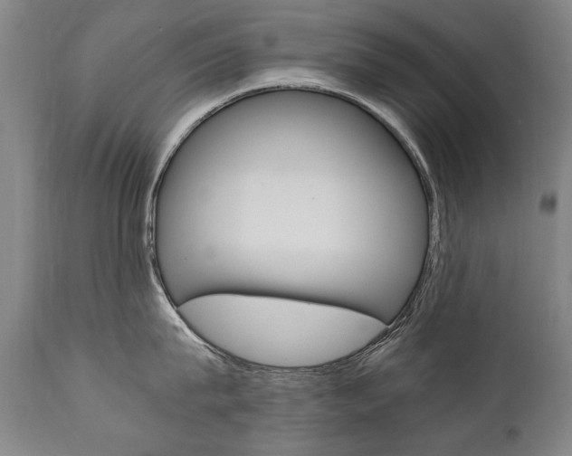 X0000110870815200906181008