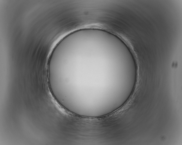 X0000110870816200906181008