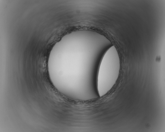 X0000110870818200906181007