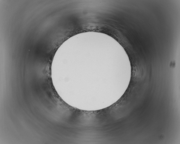 X0000110870820200906181007
