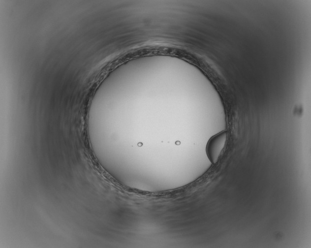 X0000110870821200906181007