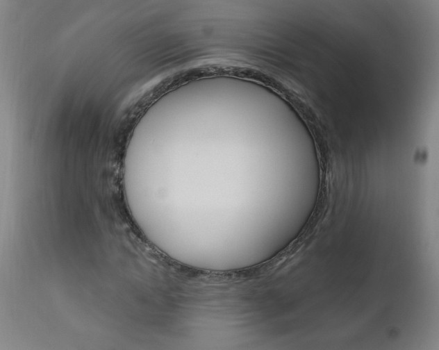 X0000110870822200906181007