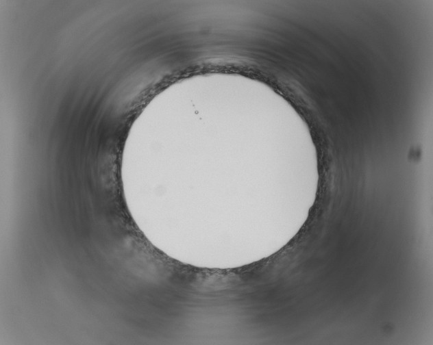 X0000110870824200906181007