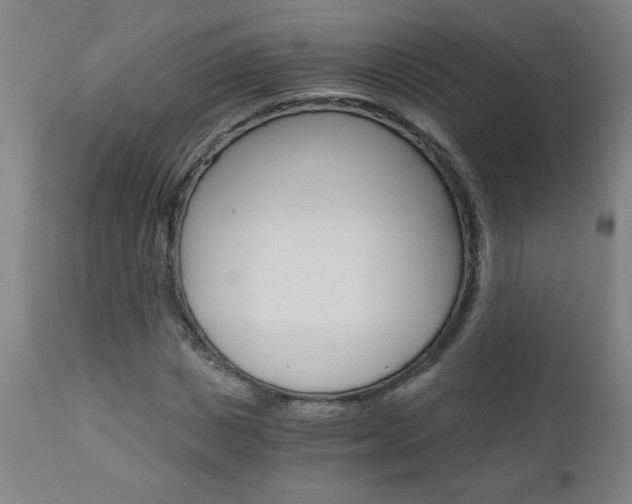 X0000110870825200906181007