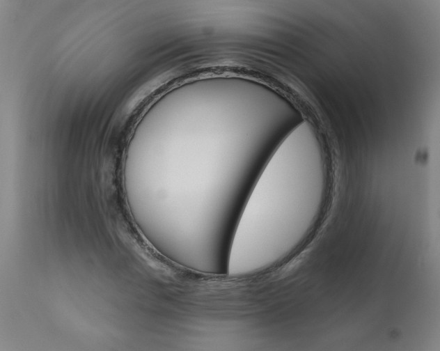 X0000110870826200906181007