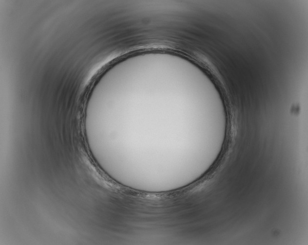 X0000110870827200906181007