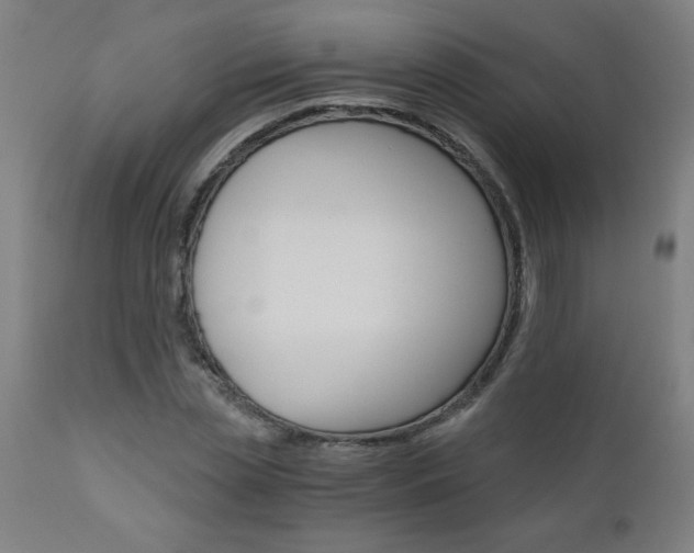 X0000110870829200906181007