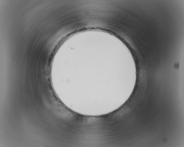 X0000110870832200906181007