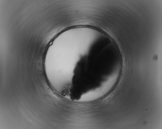 X0000110870834200906181007